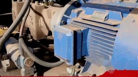 WS-800 Automatic Gantry Shear with 800ton Max Cutting Force 1600mm Blade Length and 12-18t/H Production Rate